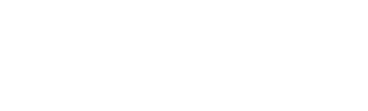 The Logo